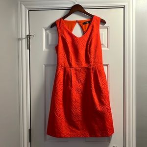 Ellen Tracy Fit and Flare Dress - brilliant orange